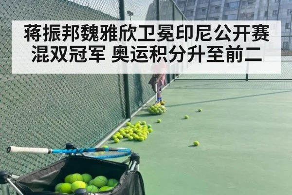 蒋振邦魏雅欣卫冕印尼公开赛混双冠军 奥运积分升至前二 | kaiyun