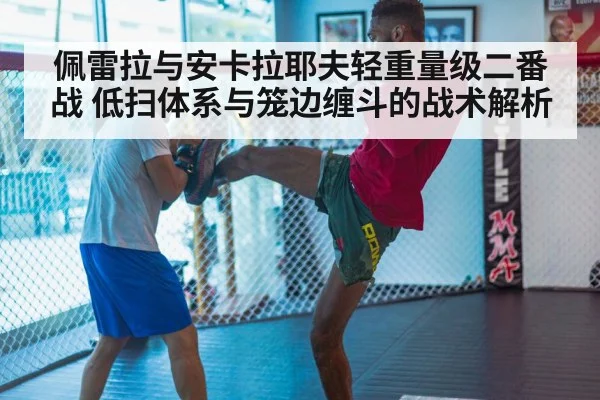 mma kickboxing low kick training